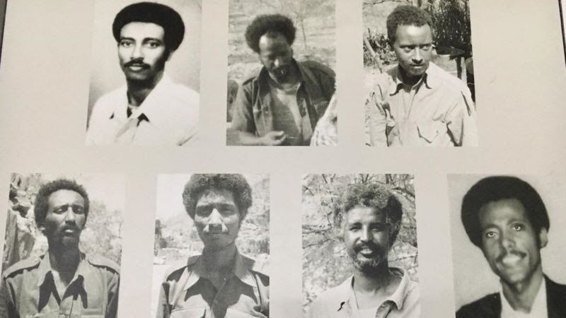 Berihu Berhe, Fantahun Zeratsion (Gd, Mulugeta Hagos, Embaye Mesfin (, Ameha Tsehaye , Ekubazgi Beyene, Alemseged Mengesh and Zeru Gesesse .
