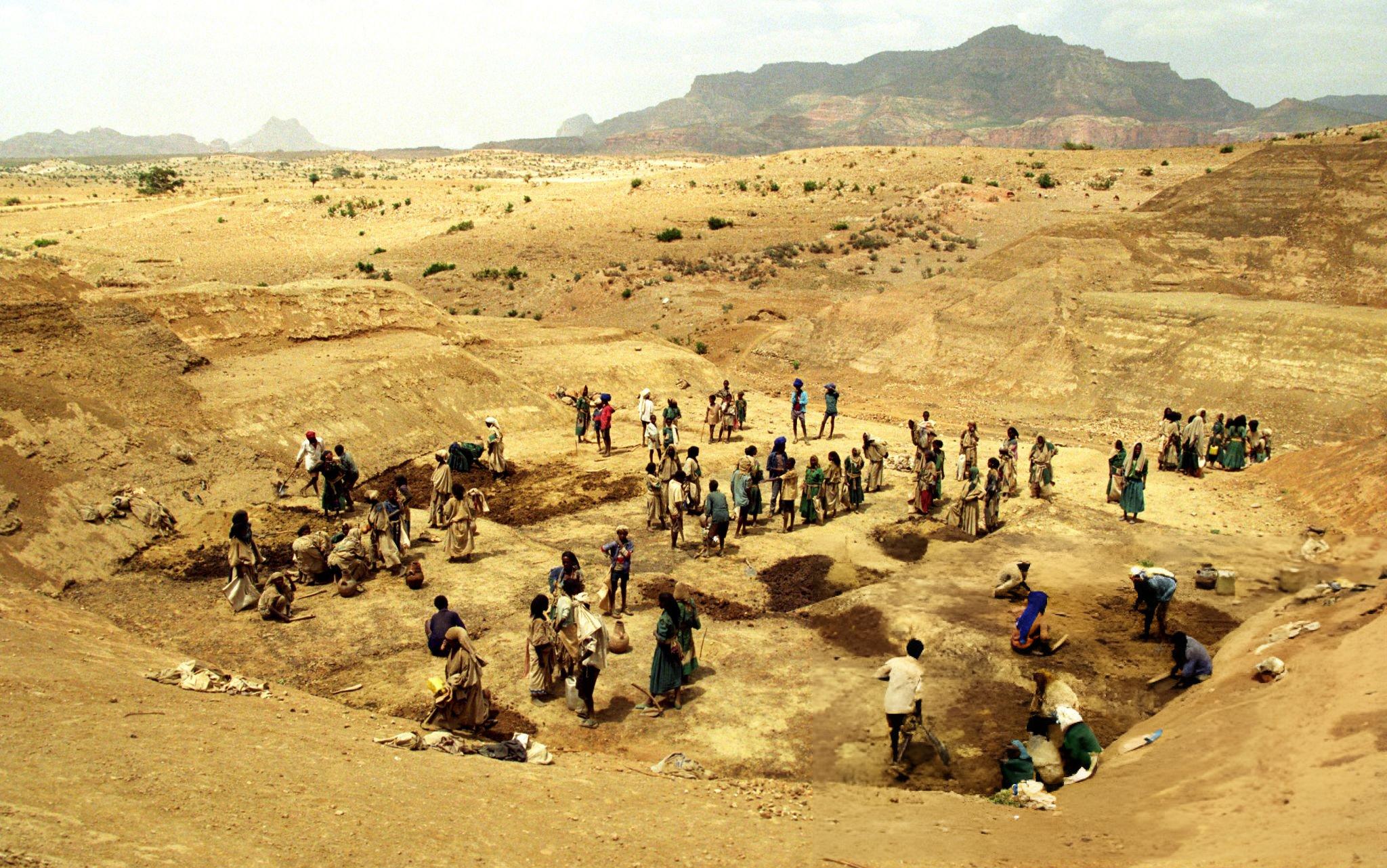 Voluntary workers building an earth dam in Abi Adi, Tigray.